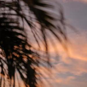 欧美女优内射喷水
