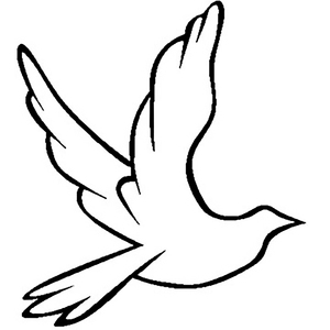 欧美女优内射喷水
